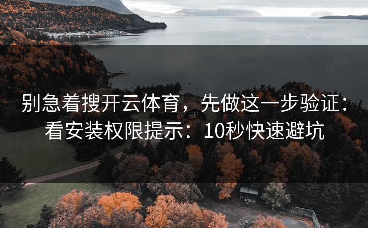 别急着搜开云体育，先做这一步验证：看安装权限提示：10秒快速避坑