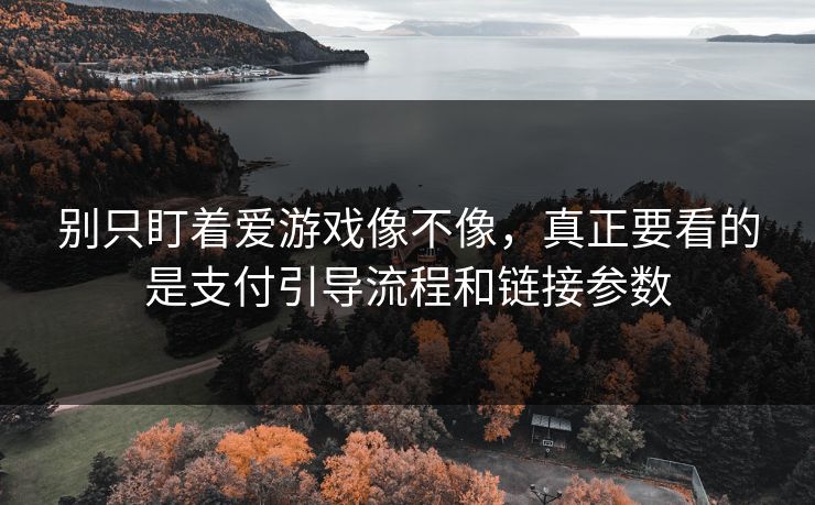 别只盯着爱游戏像不像，真正要看的是支付引导流程和链接参数