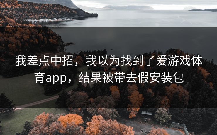 我差点中招，我以为找到了爱游戏体育app，结果被带去假安装包