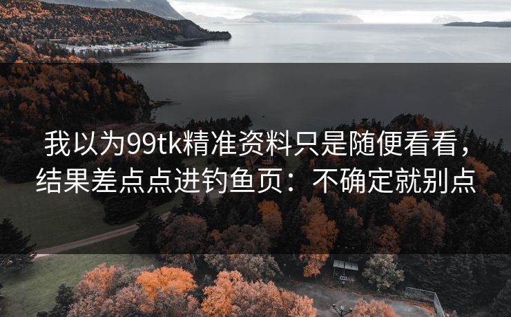 我以为99tk精准资料只是随便看看，结果差点点进钓鱼页：不确定就别点